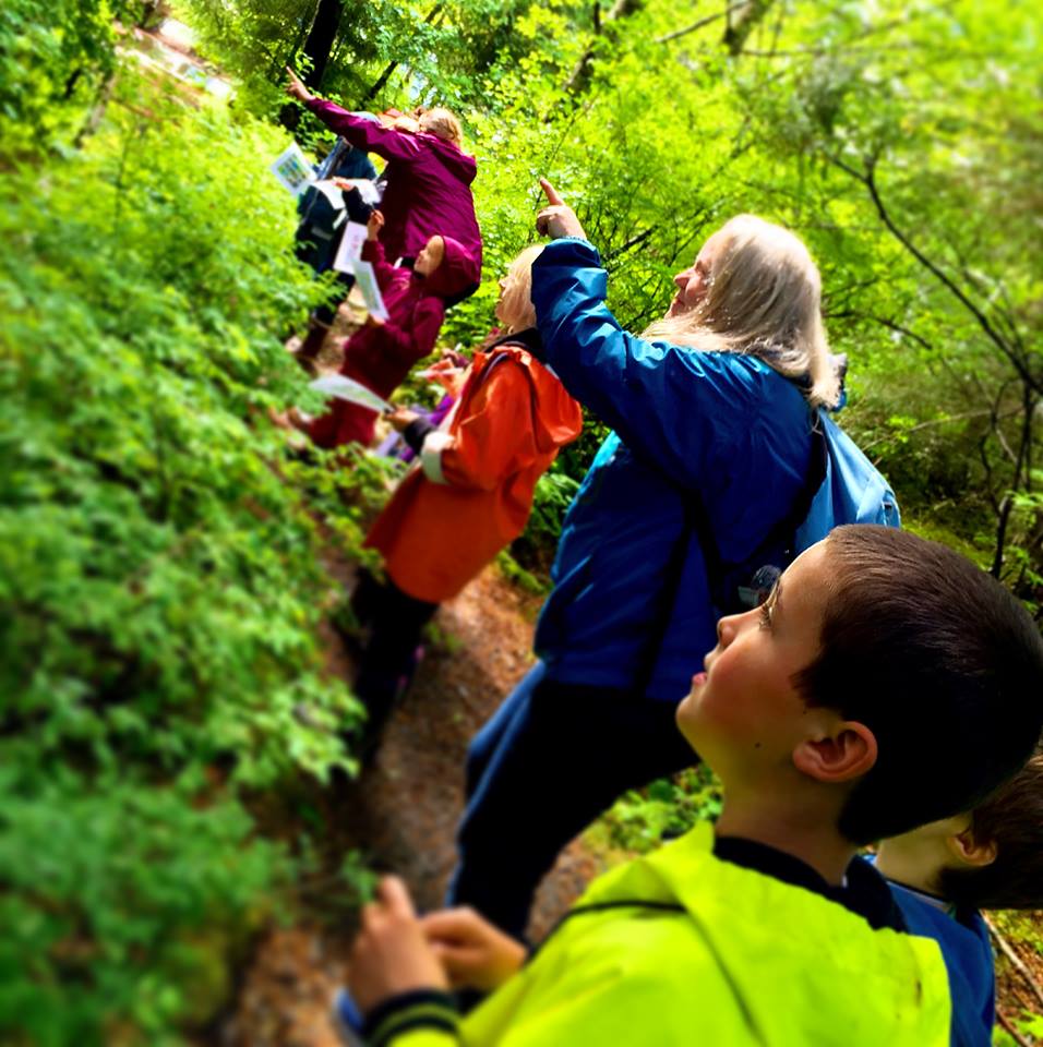 nature-camp-sssc